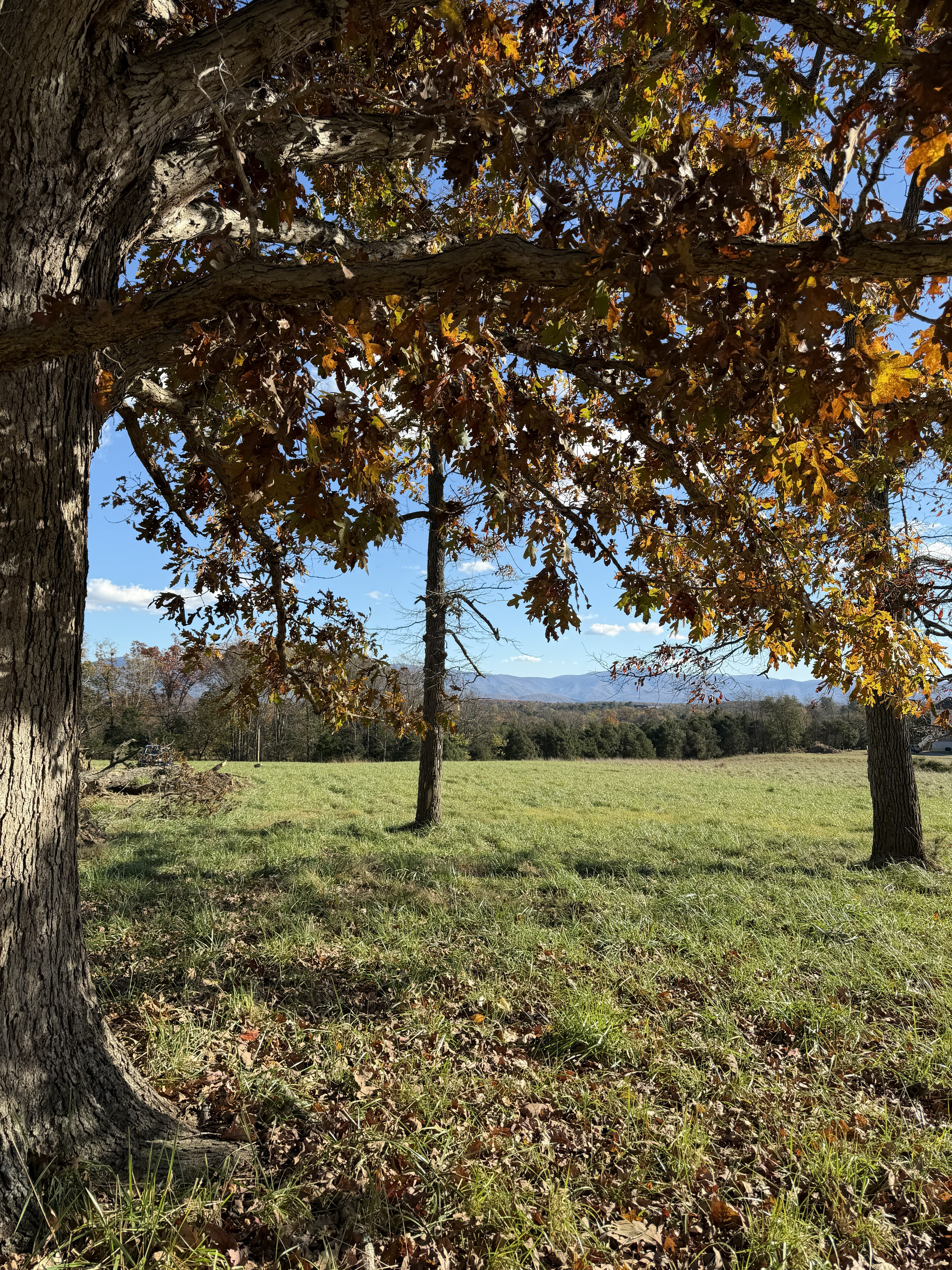 HOM Villas property — Shenandoah Valley